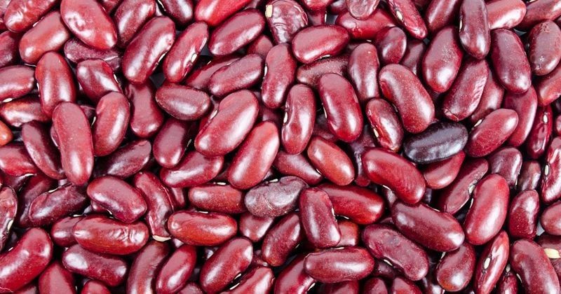 Kandungan Nutrisi Kacang Merah Pdf / · kacang kedelai kacang kedelai